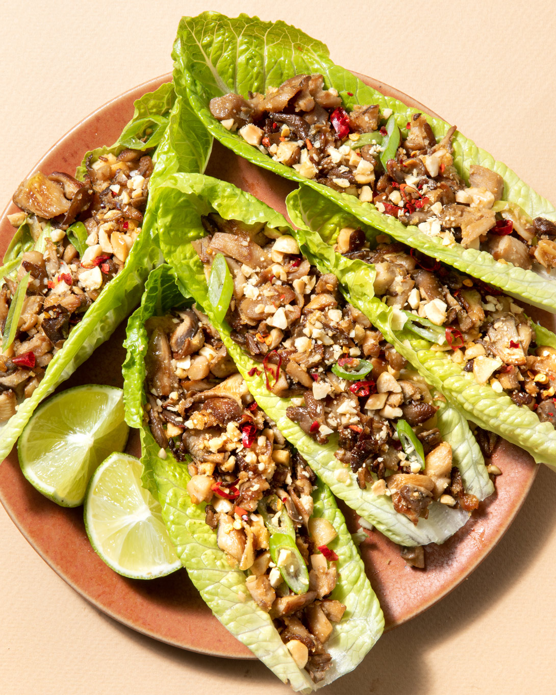 allplants Blog Vegan Mushroom Larb Recipe