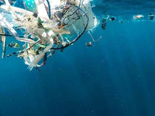 ocean waste