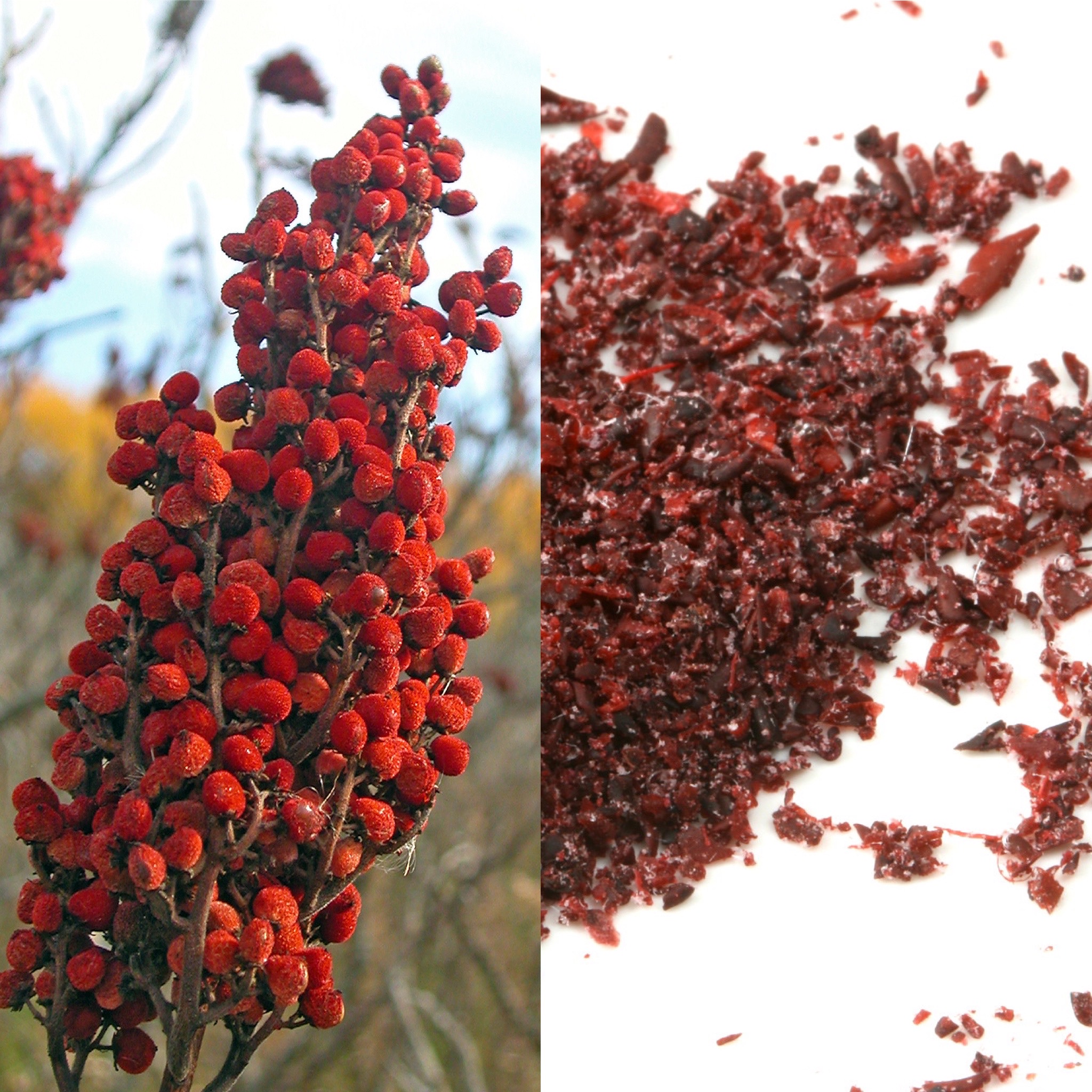 allplants A Guide To Cooking With Sumac The Berry That Packs A Punch
