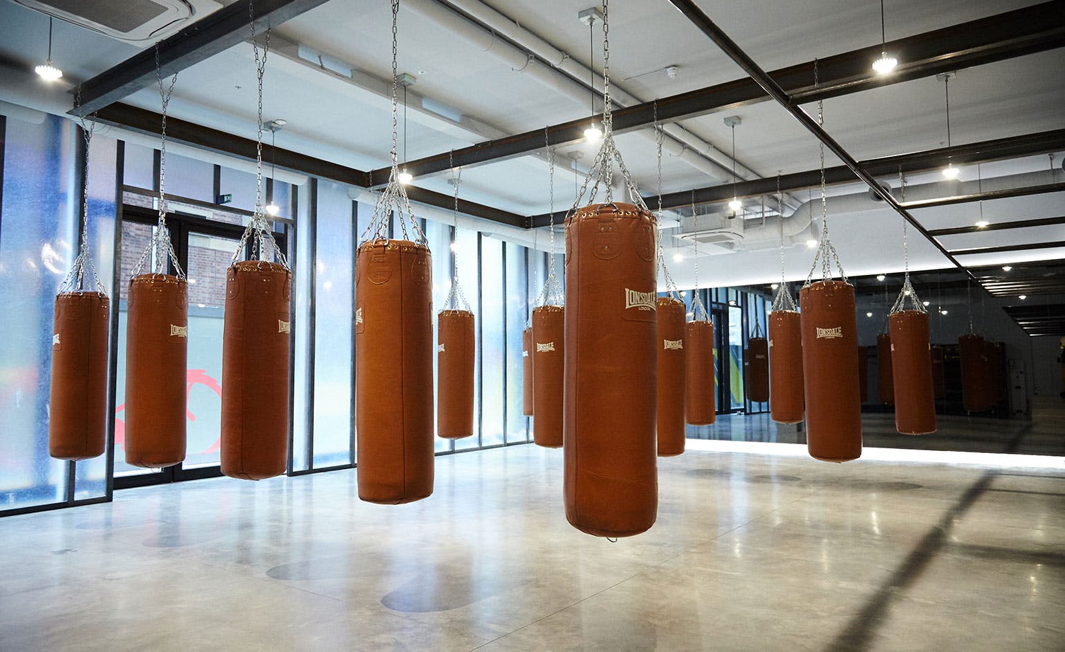 punching bags hanging up