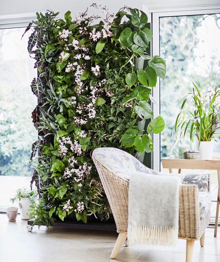 allplants How To Make A Simple Living Wall