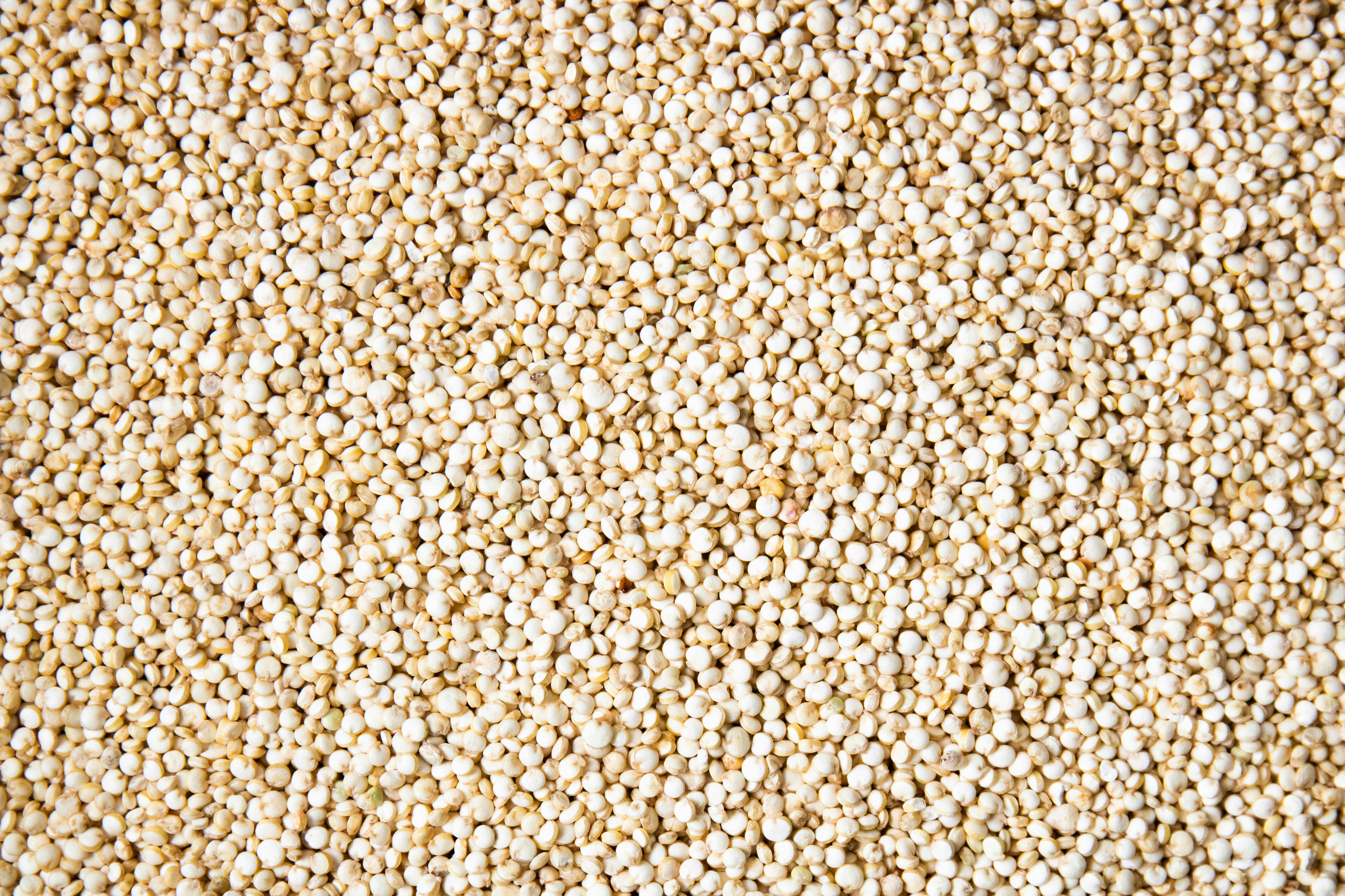 quinoa grains