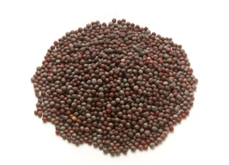 black mustard seeds