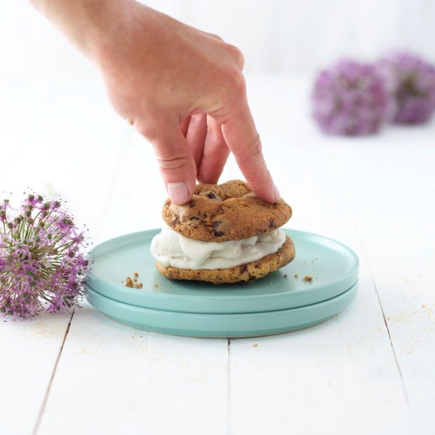 ice cream cookie snadwich