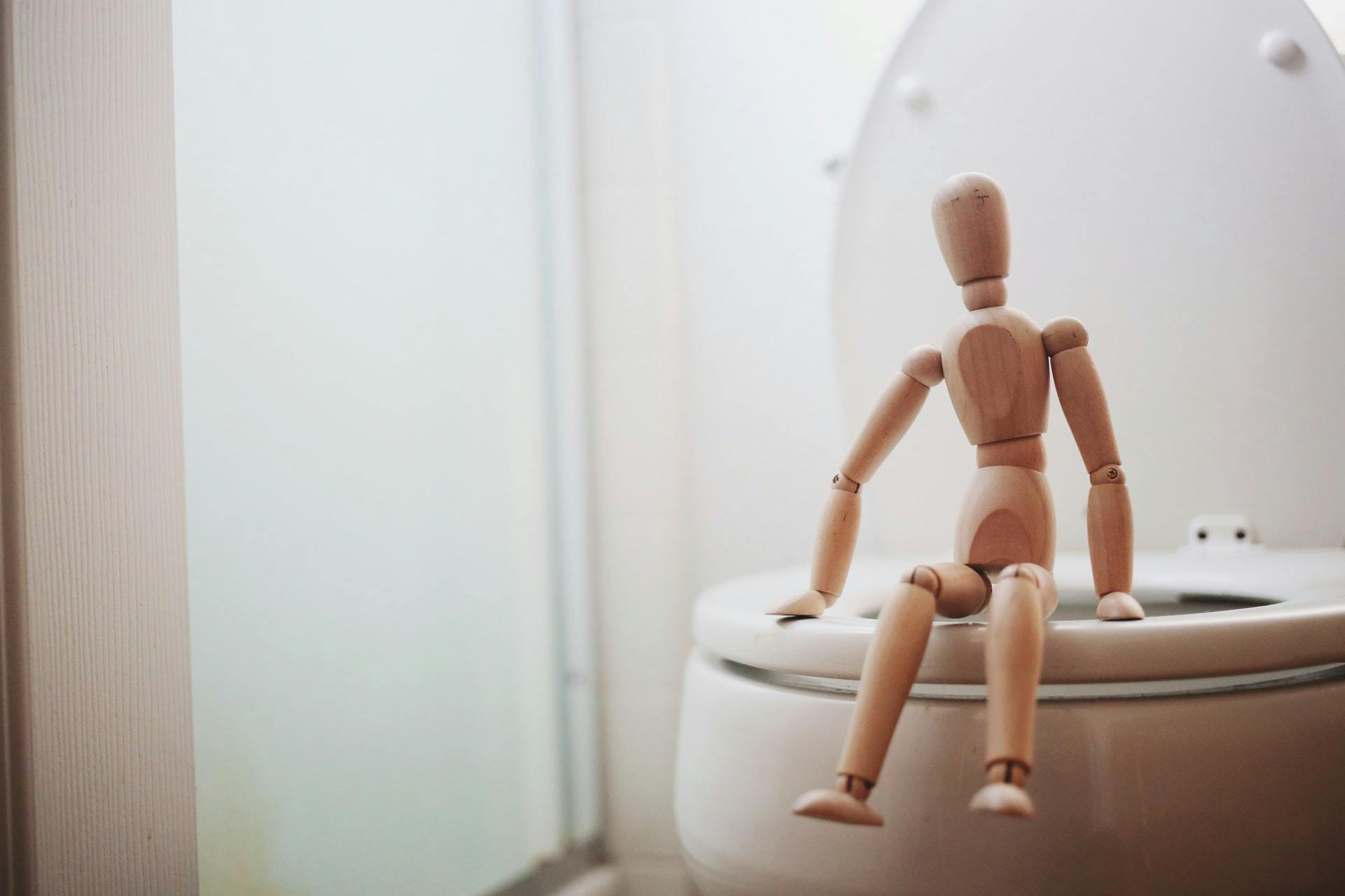 a wooden figure on a toilet