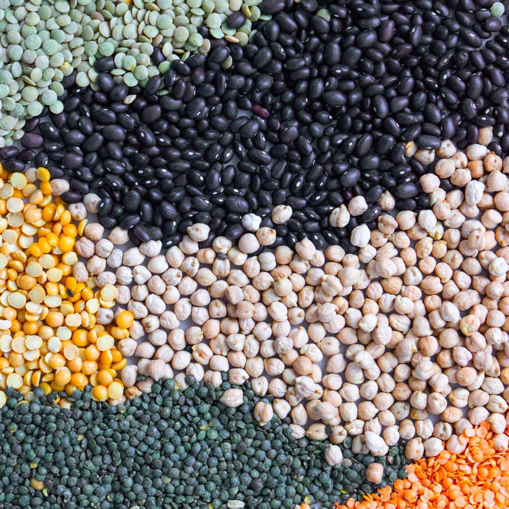 different vegan pulses