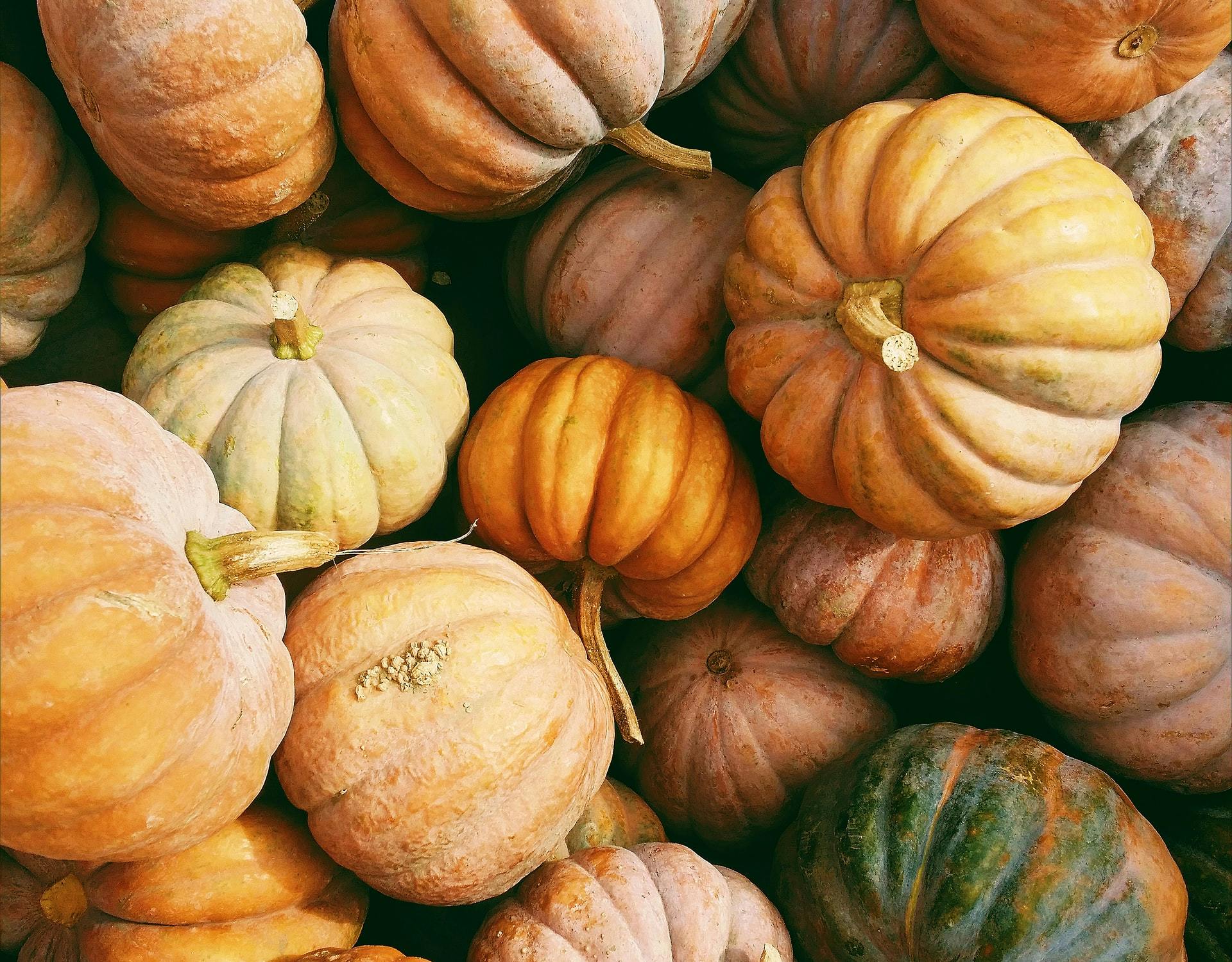 pumpkins