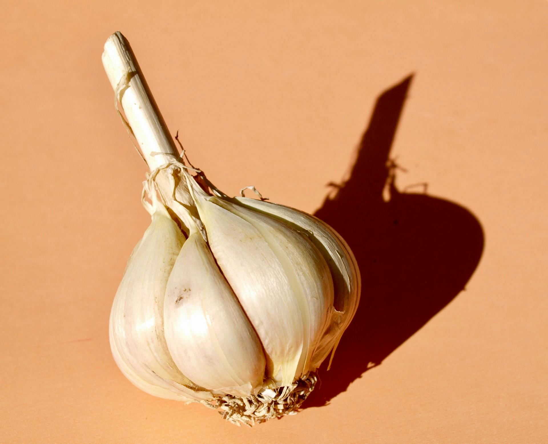 Garlic Powder: How Much Equals One Clove, and More