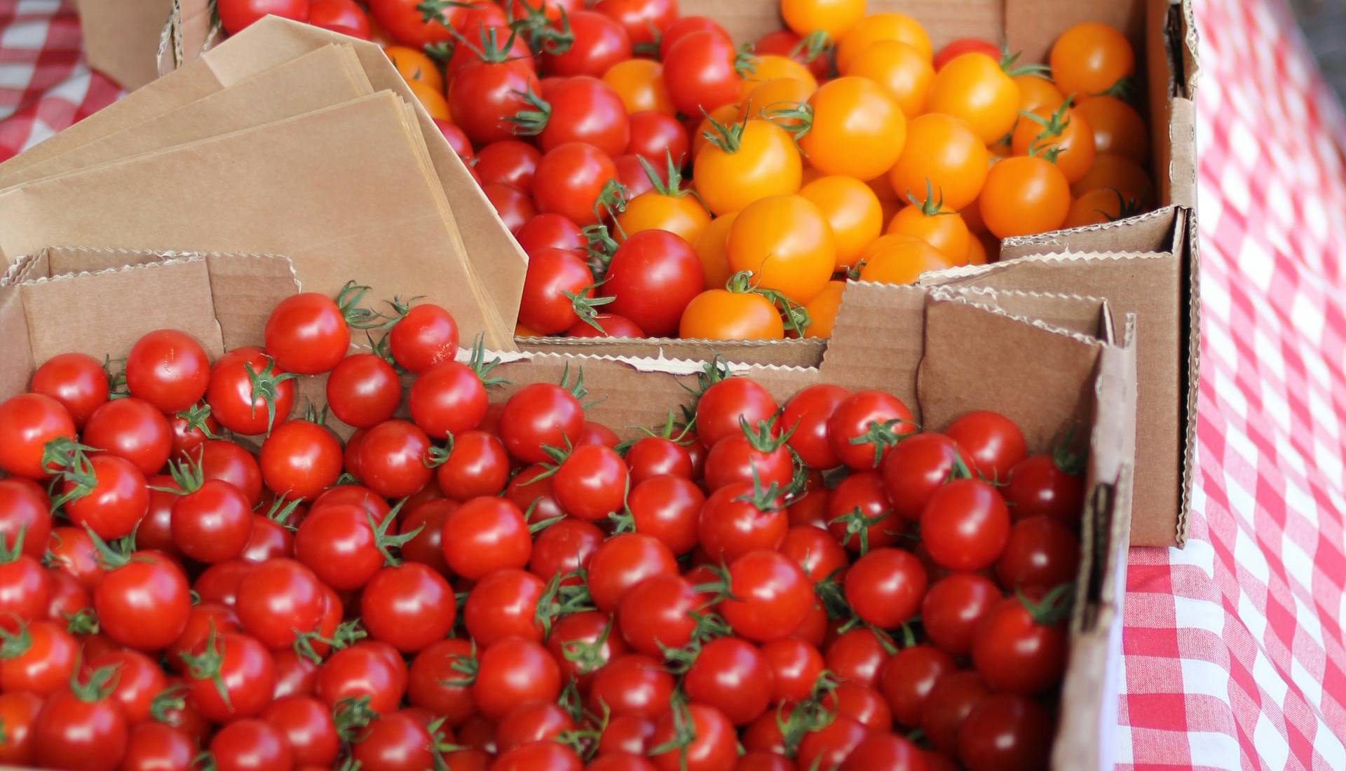 fresh tomatoes in crates