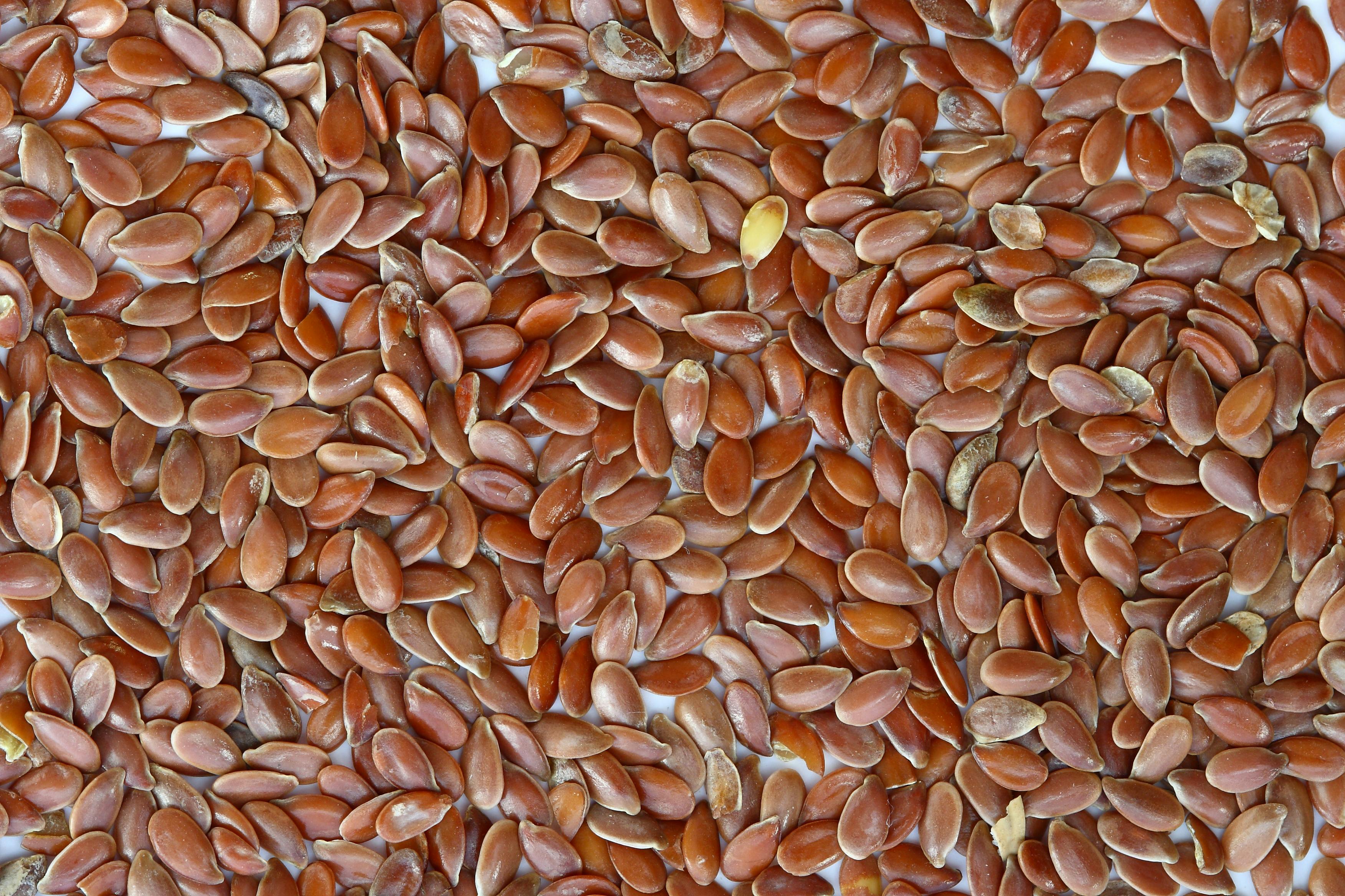 flax seeds