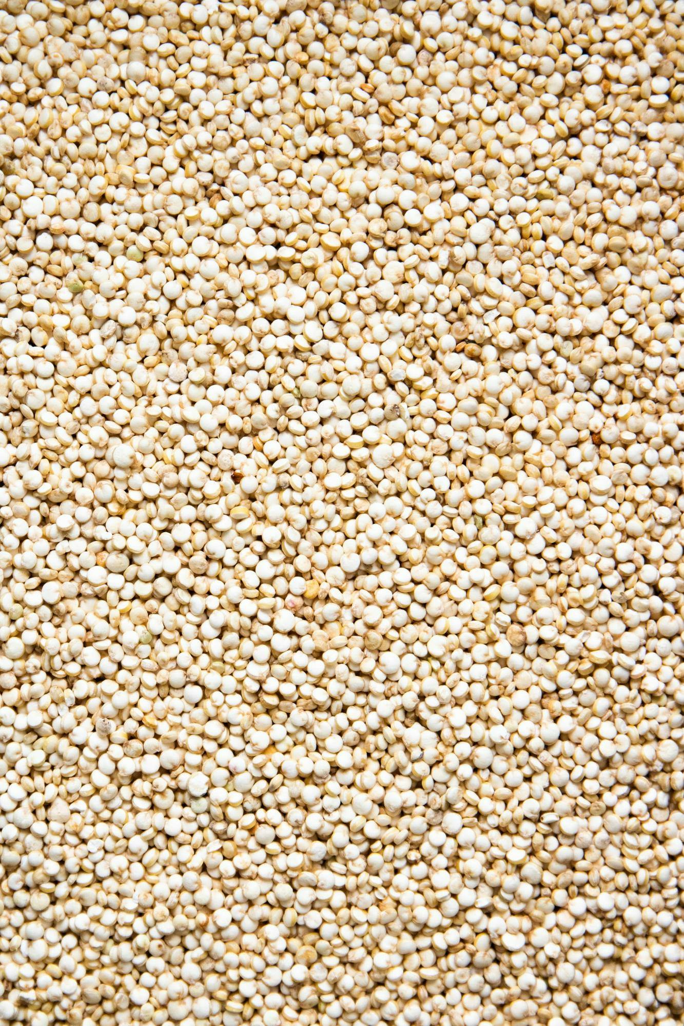 Quinoa