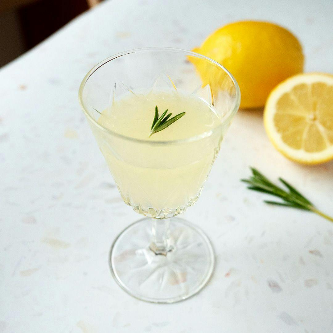 lemon drop cocktail