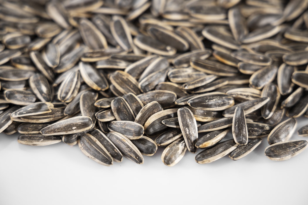 allplants Are Sunflower Seeds Good For You?