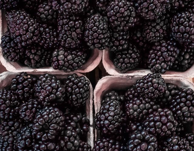 punnets of blackberries 