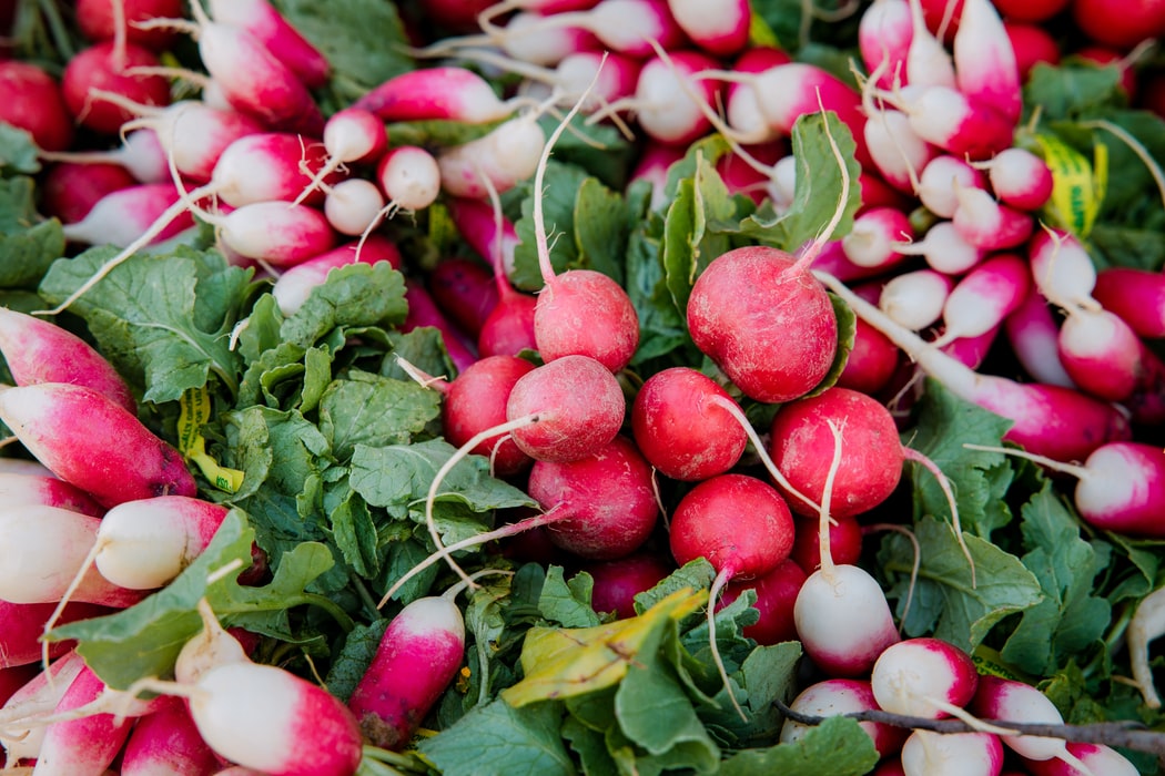 allplants Are Radishes Good For You?