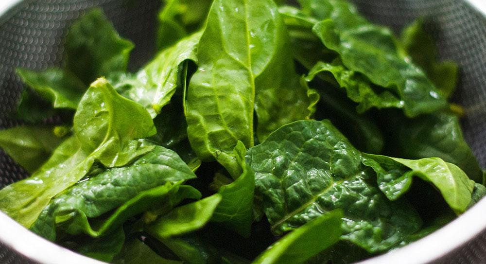 bowl of spinach 