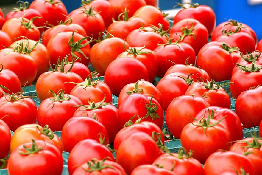 organic red tomatoes