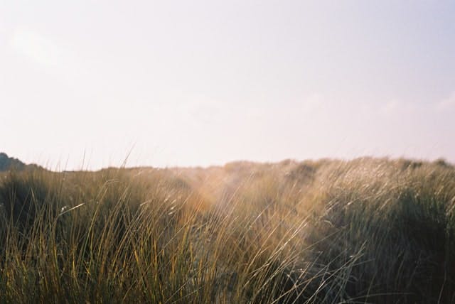 sunny sand dunes