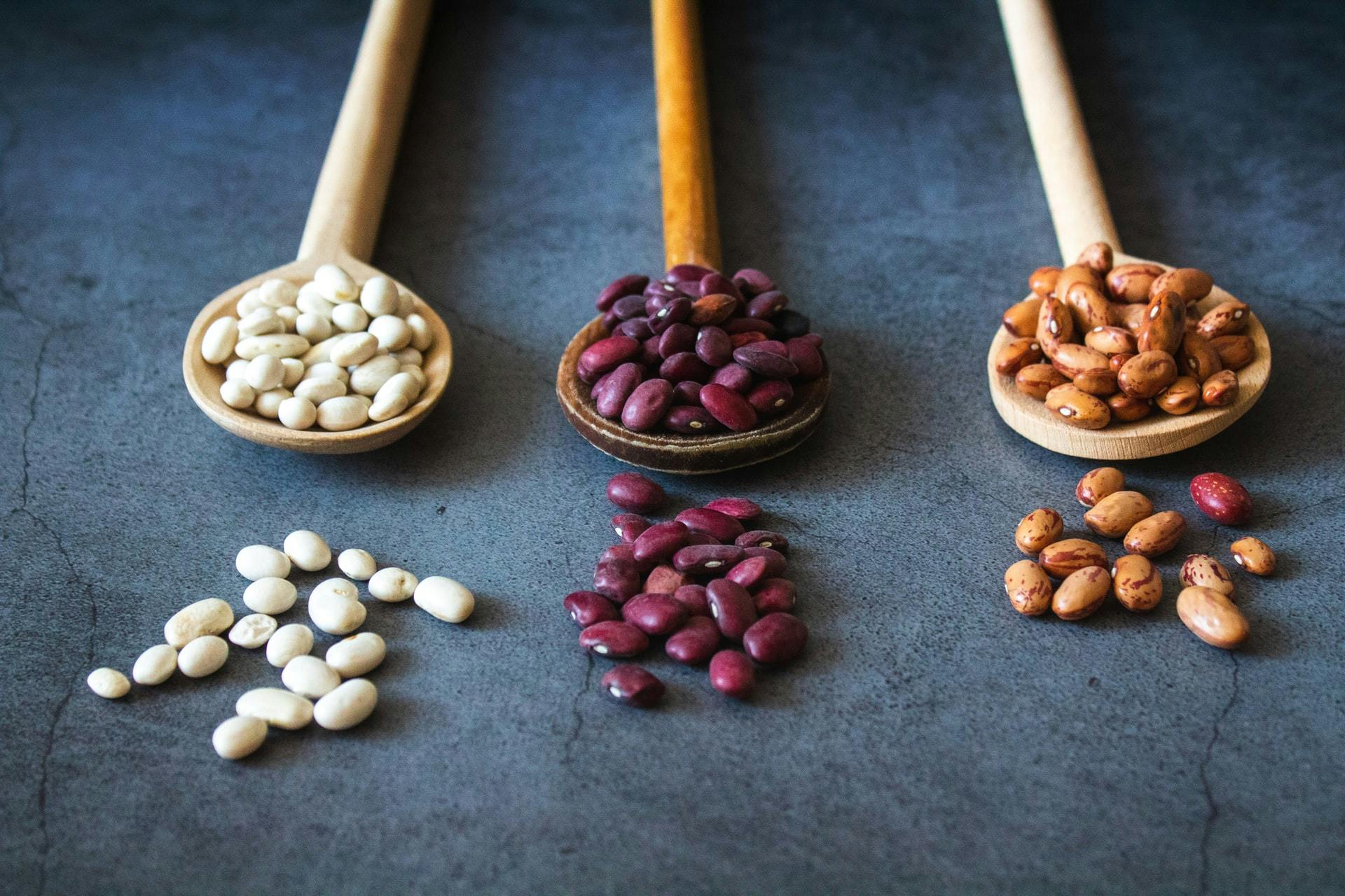 kidney beans on a spoon