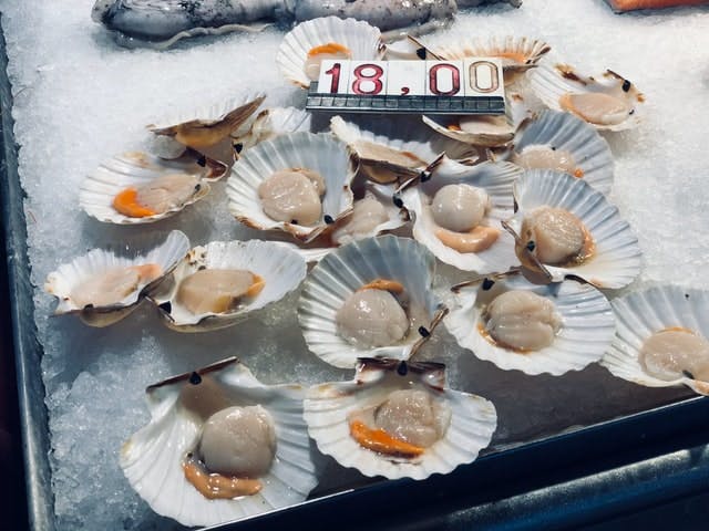 scallops at a market