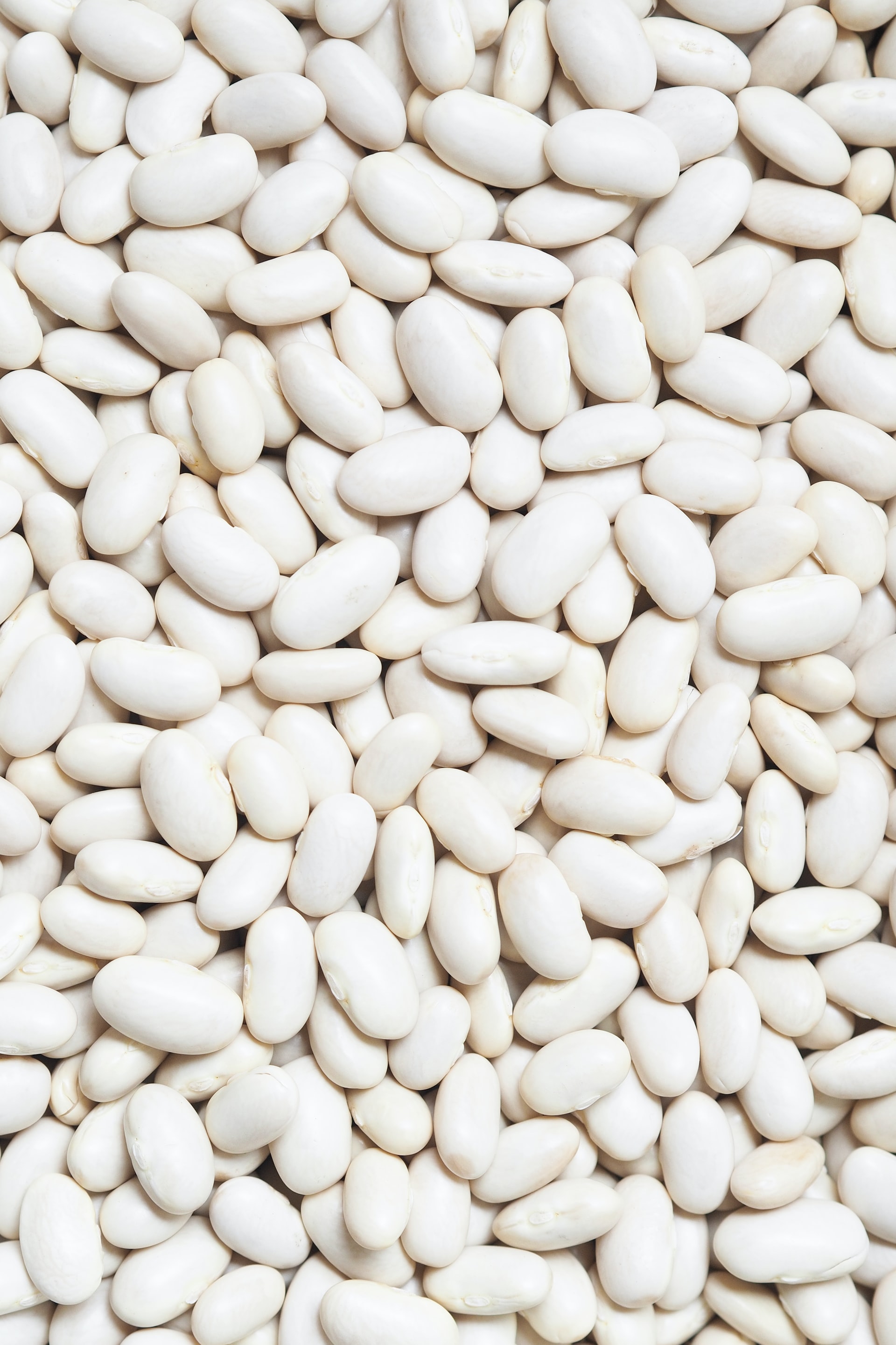 allplants Are Butter Beans Good For You?