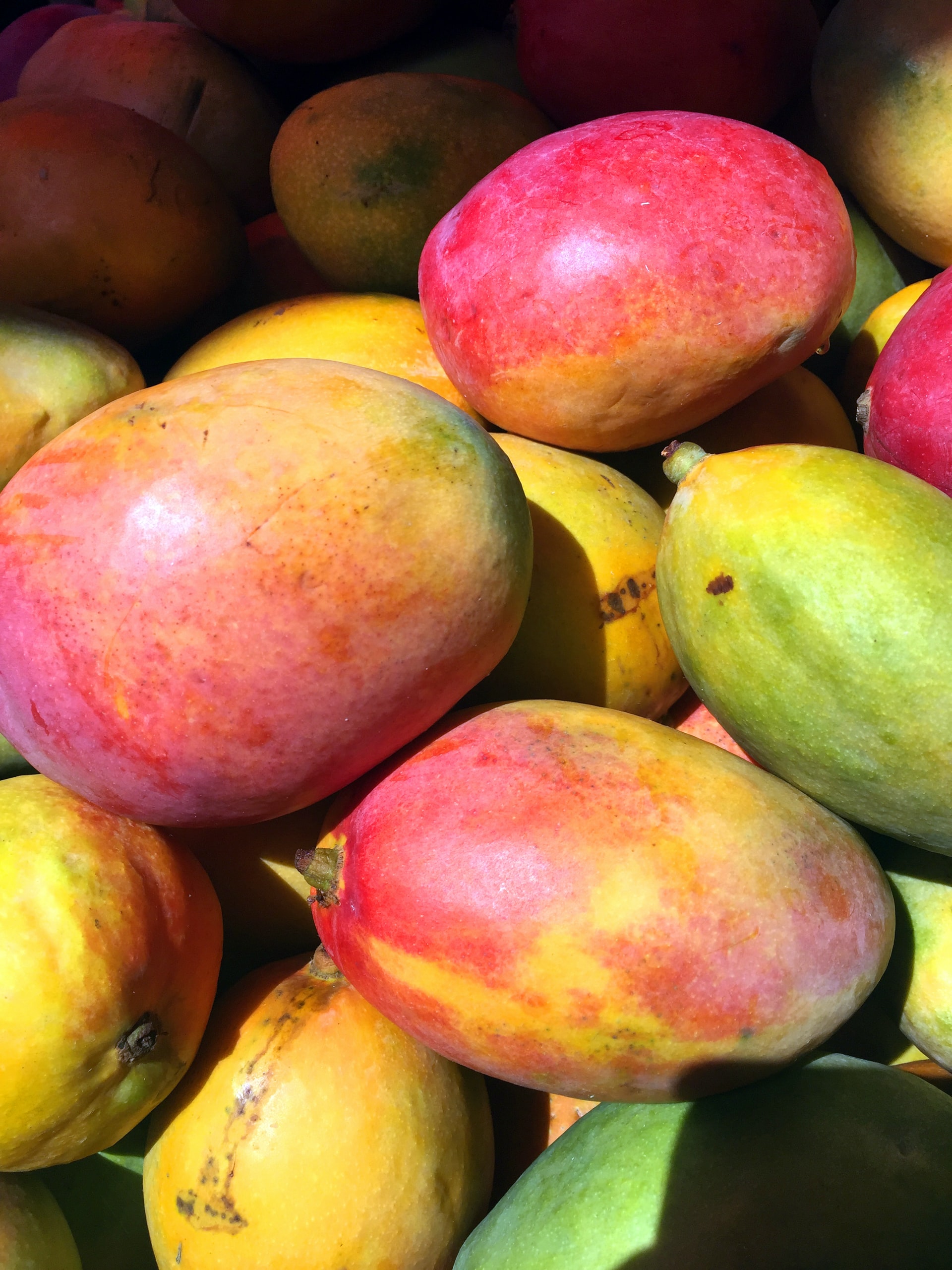 allplants Are Mangoes Good For You