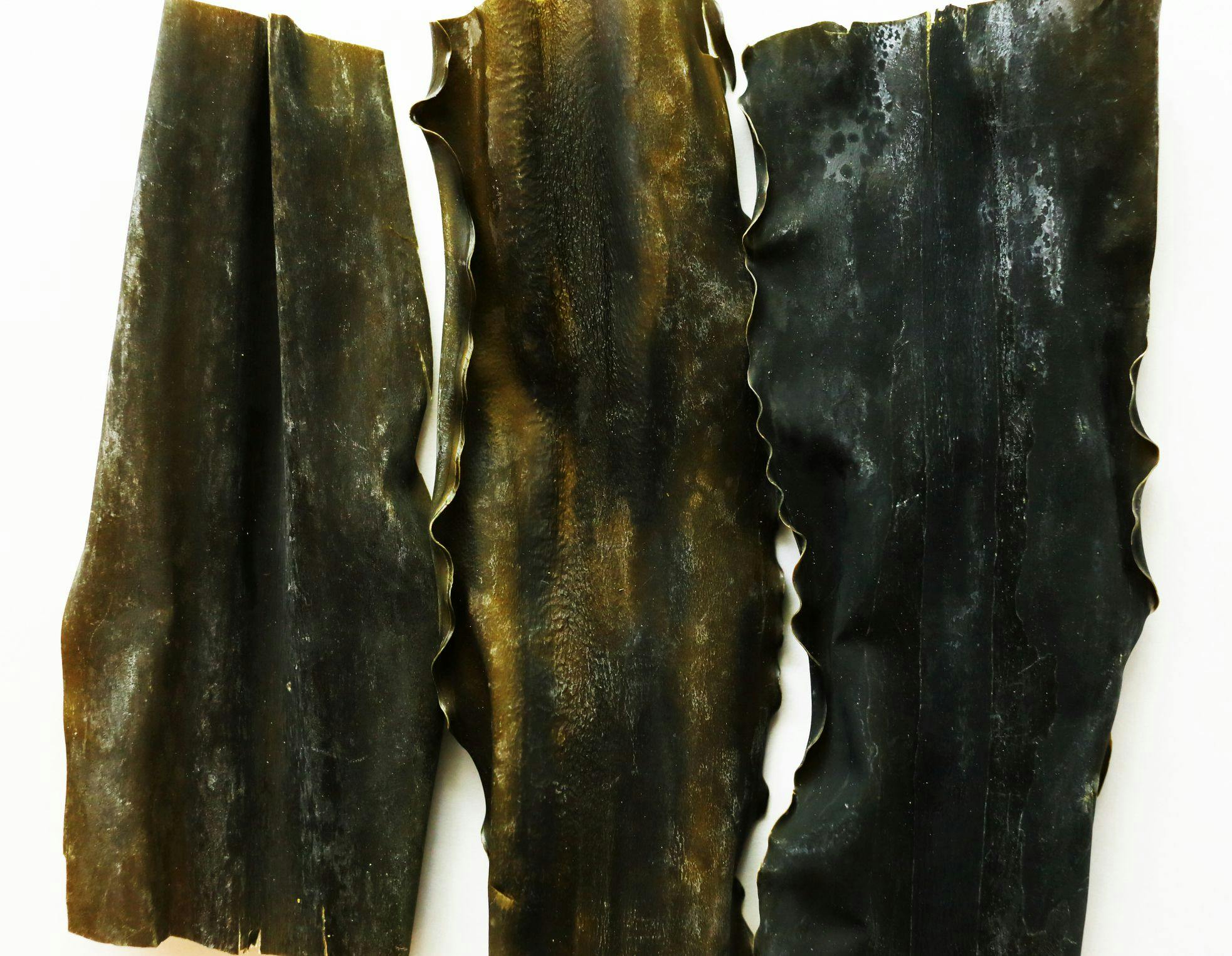 sheets of kombu