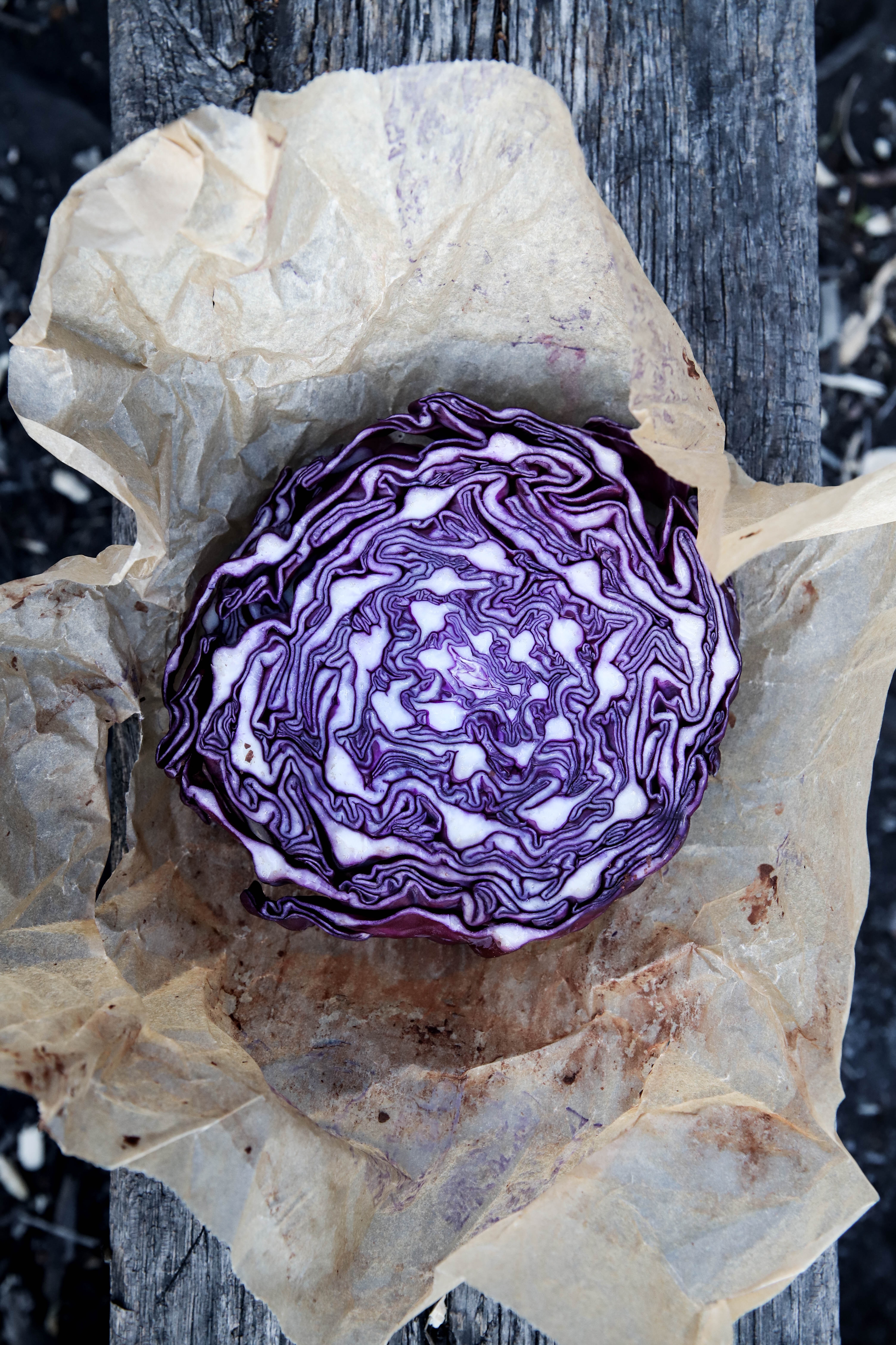 allplants Is Red Cabbage Good For You?