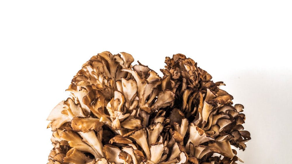 maitake mushrooms