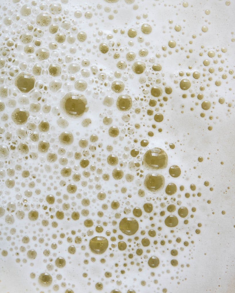 Image of the bubbles on the head of a vegan beer 