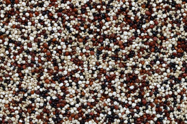 quinoa macro image
