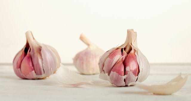 open bulbs of garlic