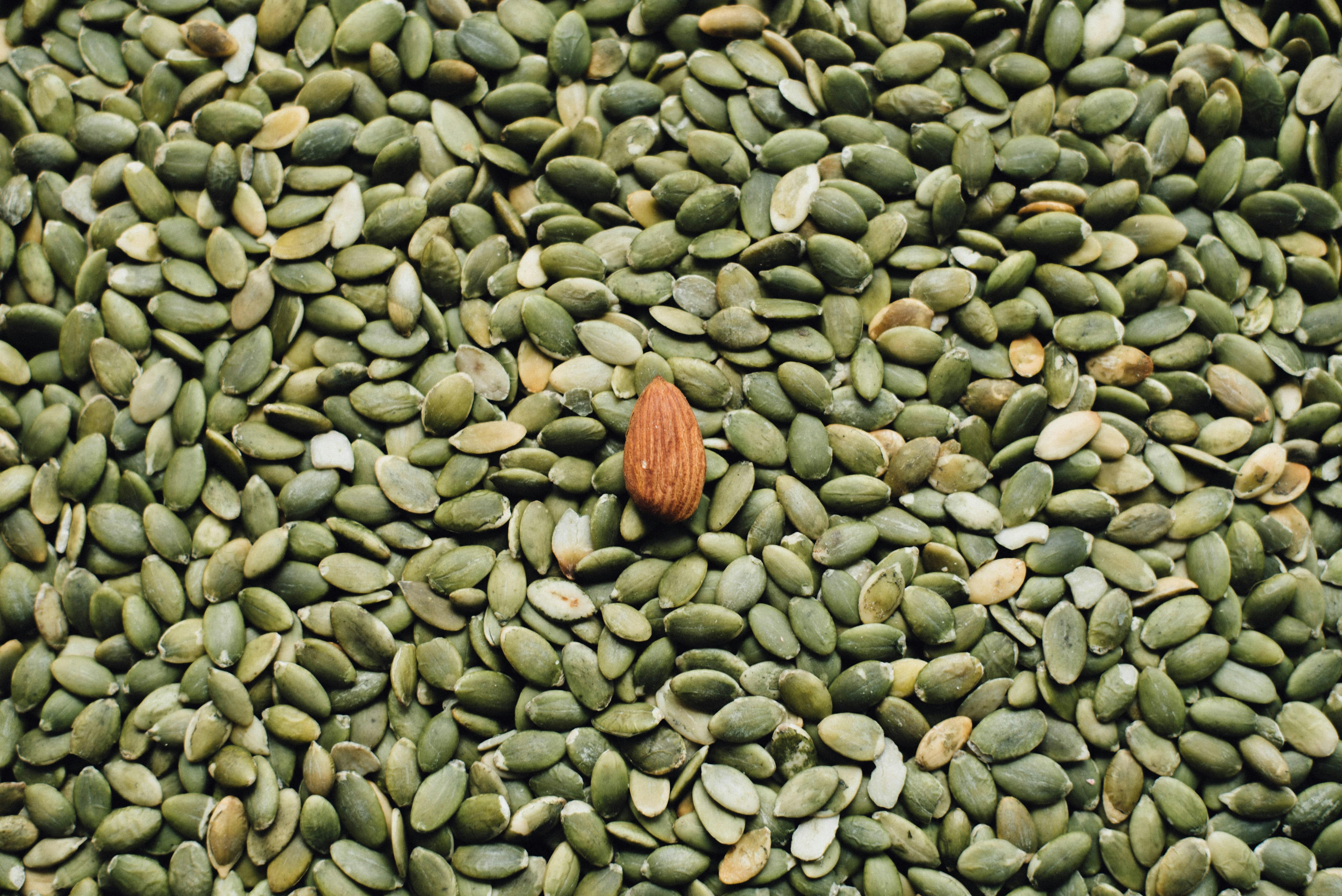pumpkin seeds with one almond