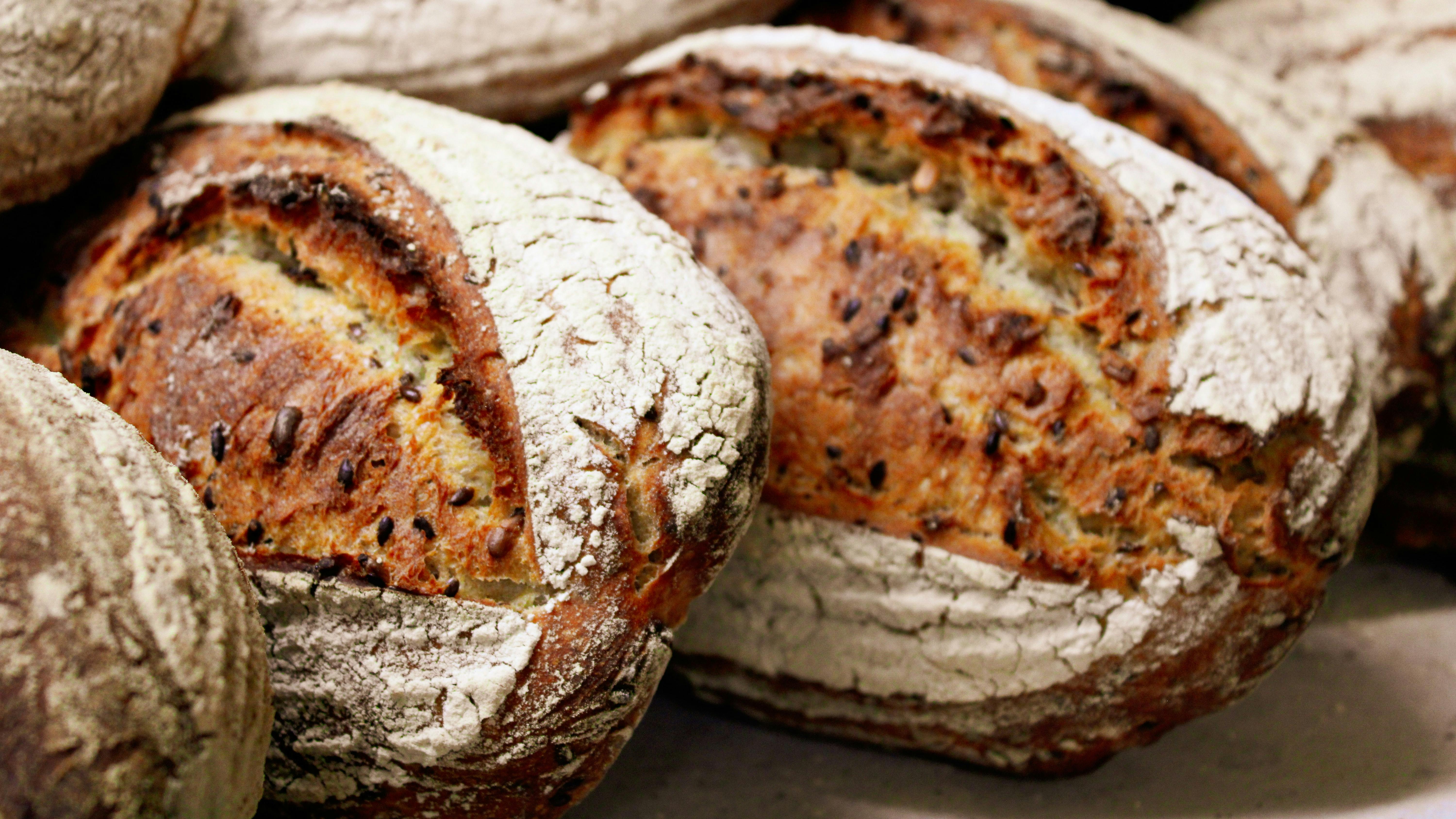 sourdough breads