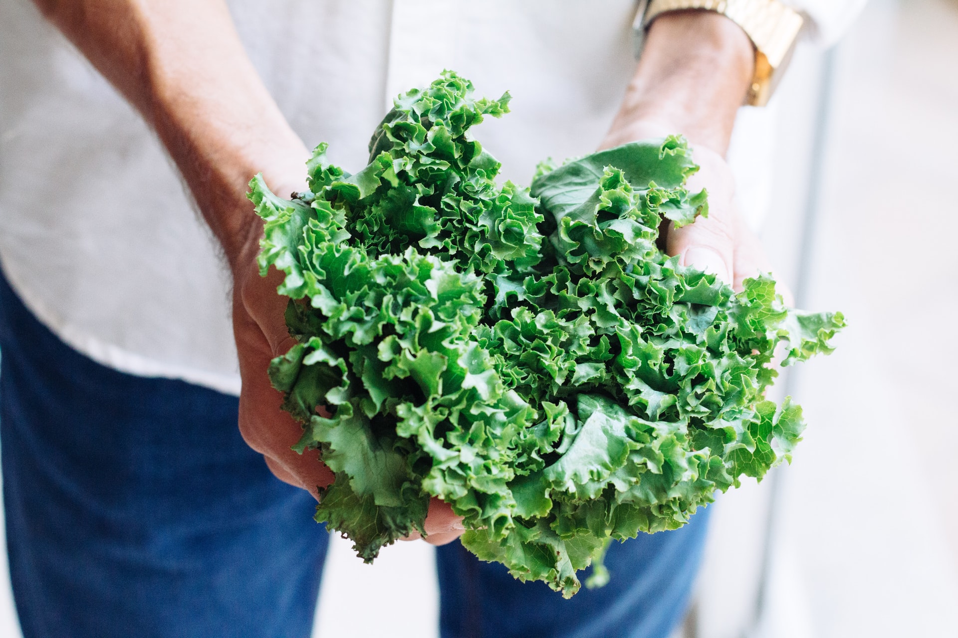 allplants Is Kale Good For You?