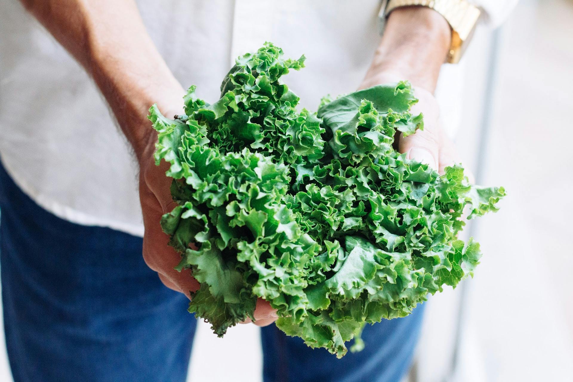 kale in hands