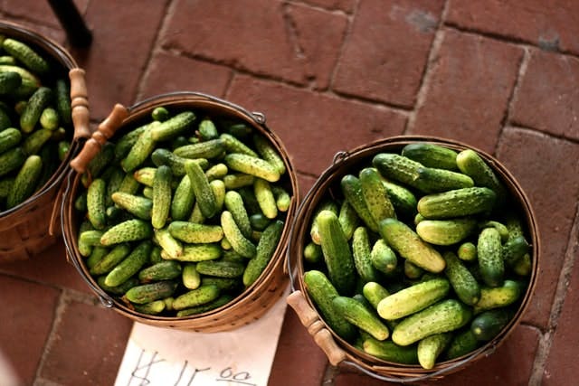 lots of gherkins