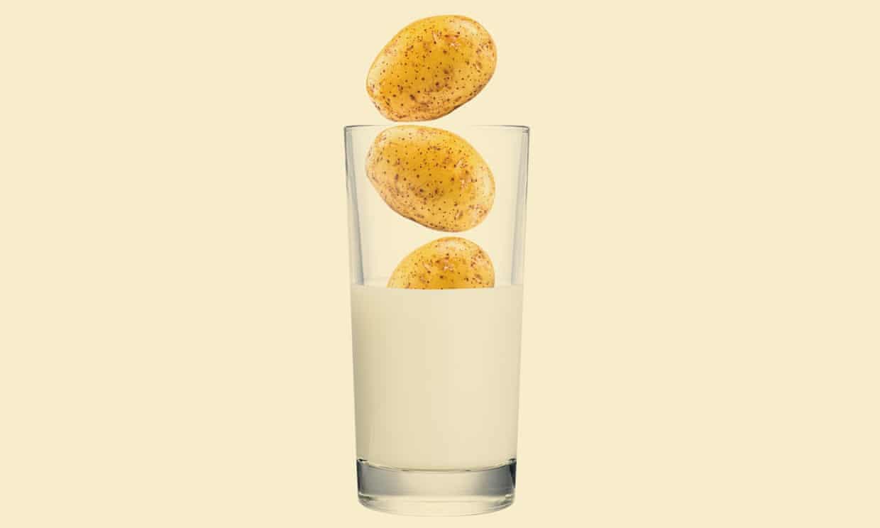 potato milk