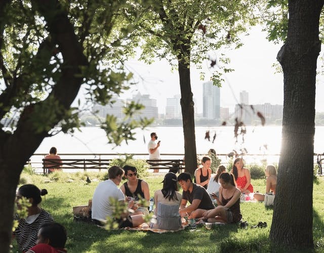 friends having a picnic in the park