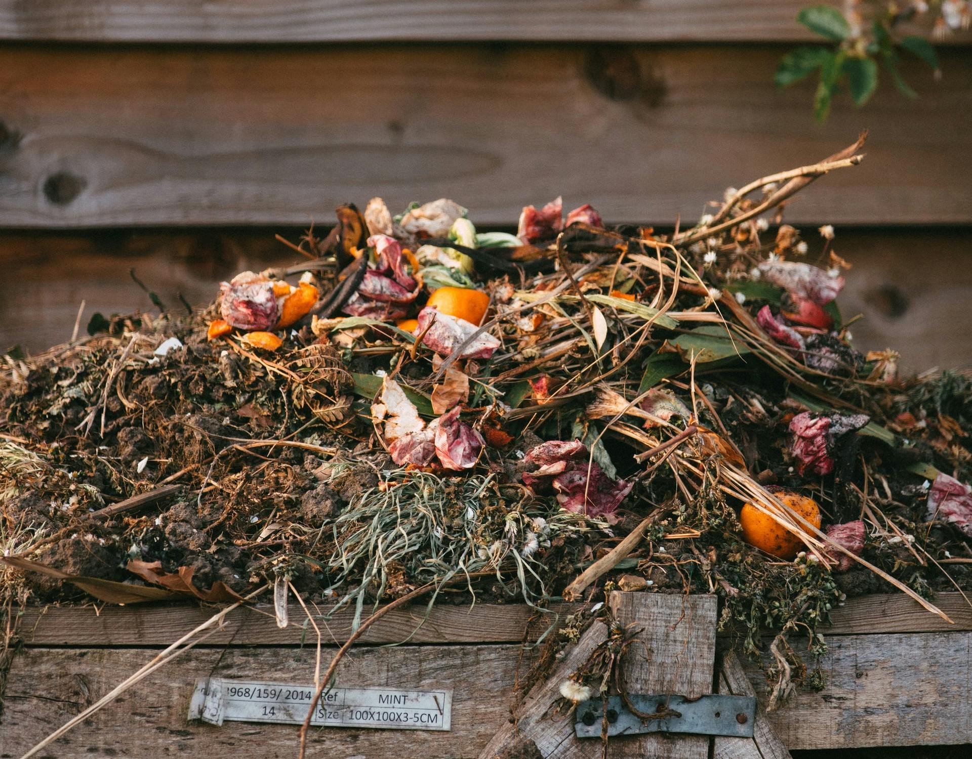 a compost pile