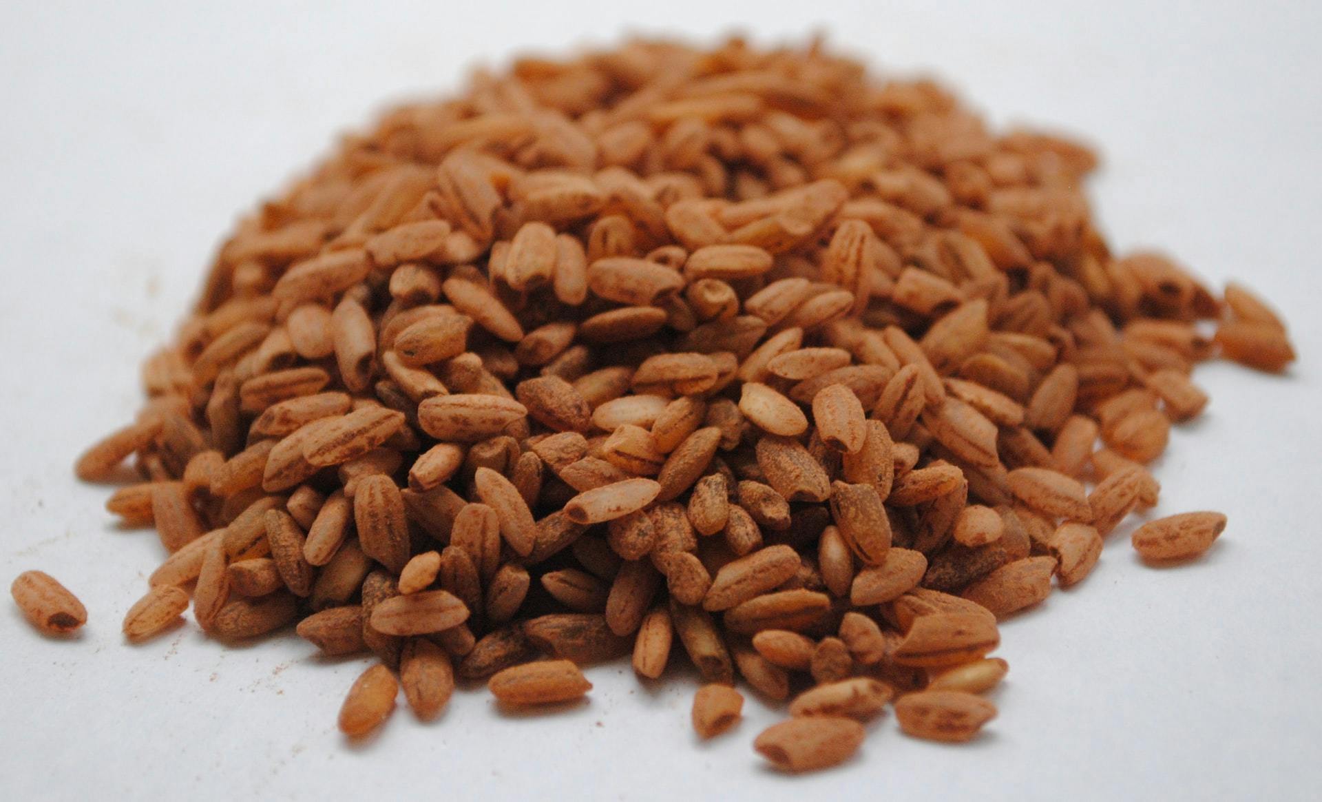 red yeast rice