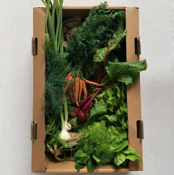 veg in carboard box