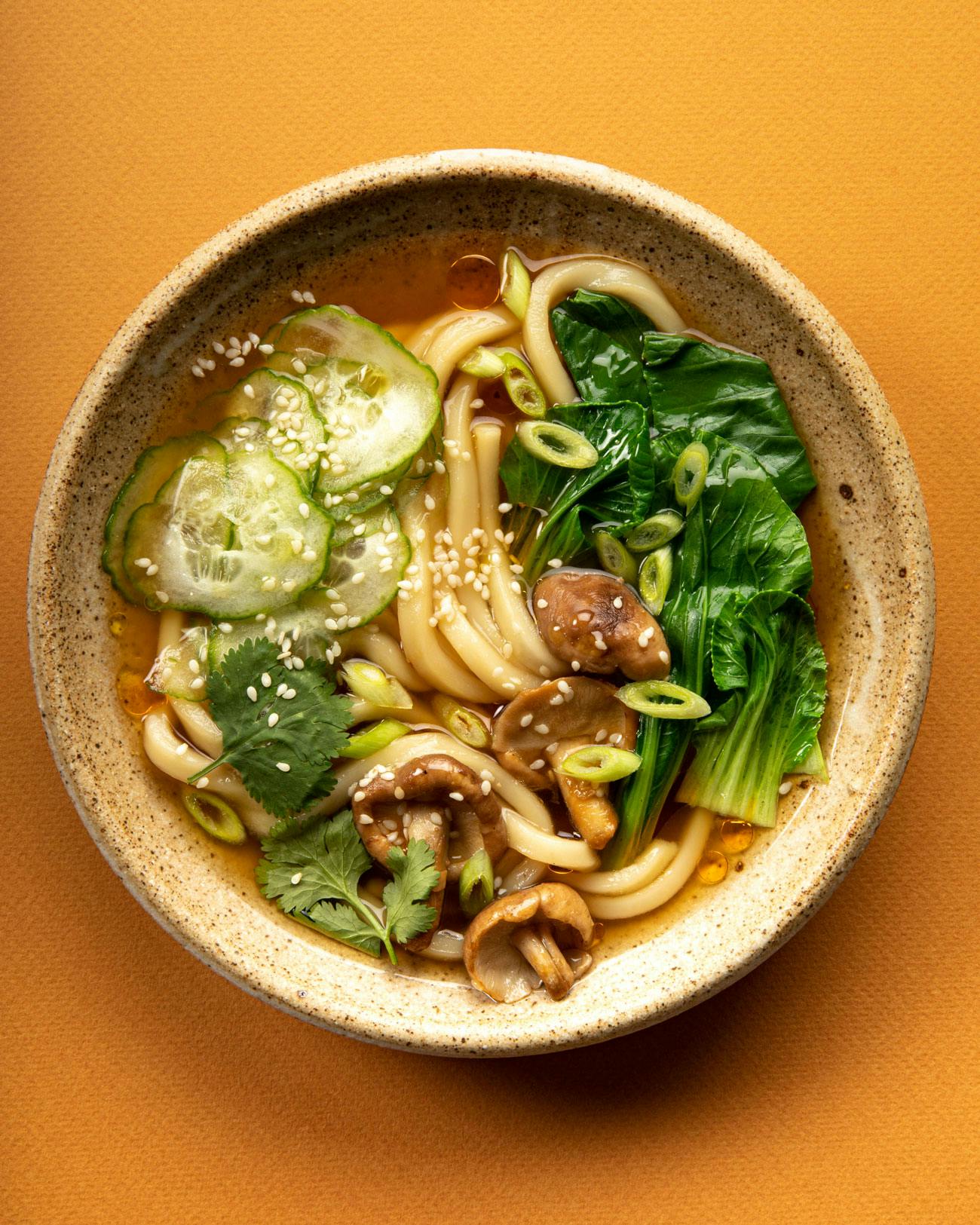 udon noodle soup 