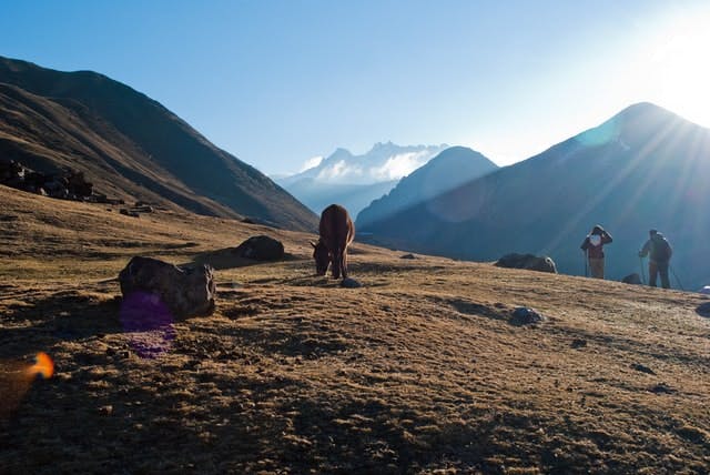 the Andes 