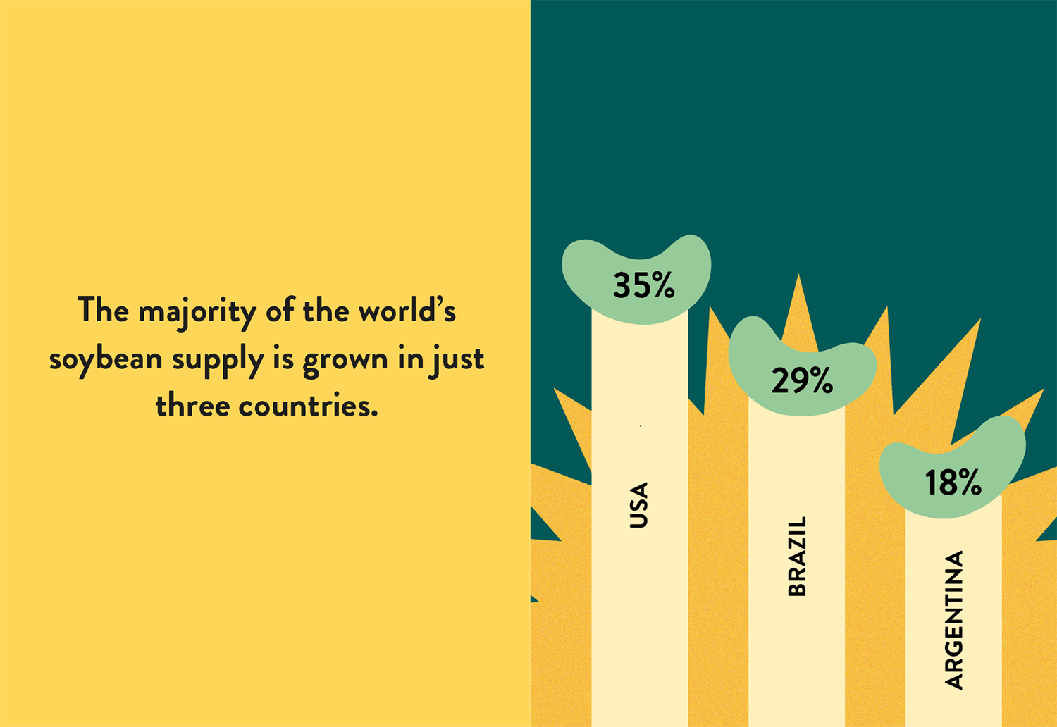 infographic showing main three countries growing soy