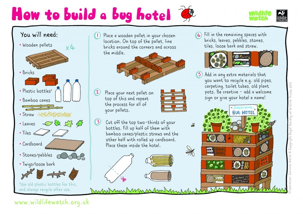 guide on how to build a bug hotel 