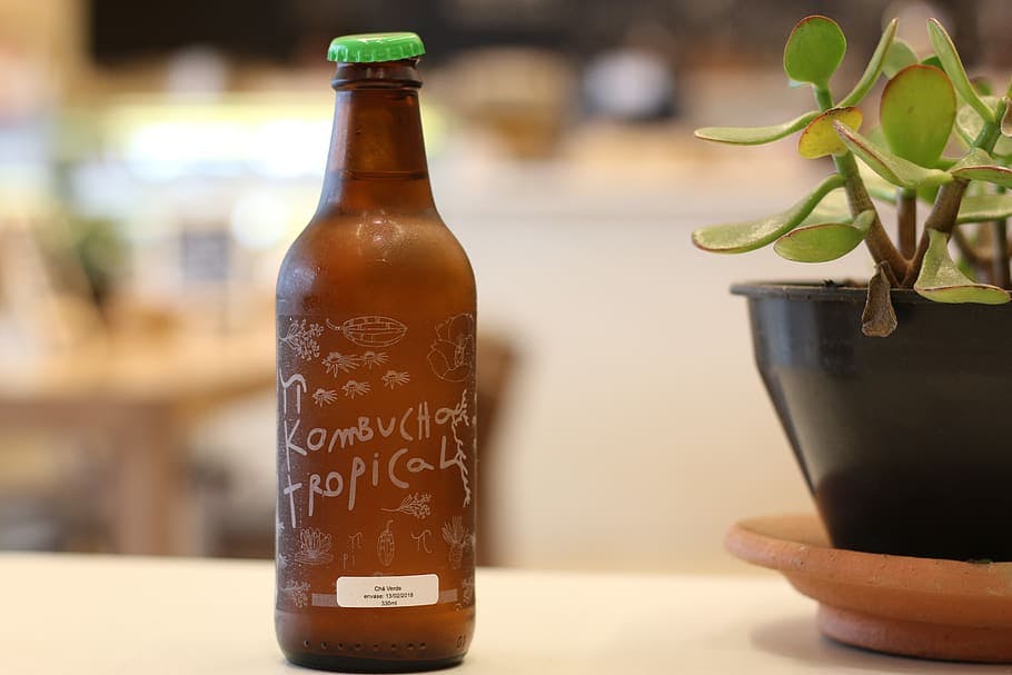 bottled kombucha