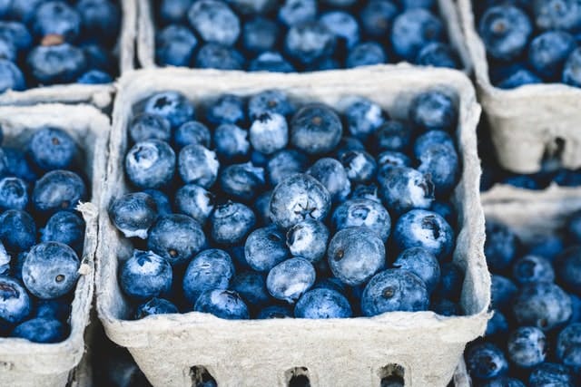 punnets of blueberries