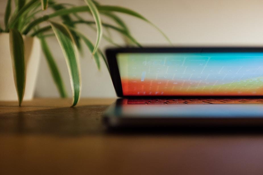 laptop and plant