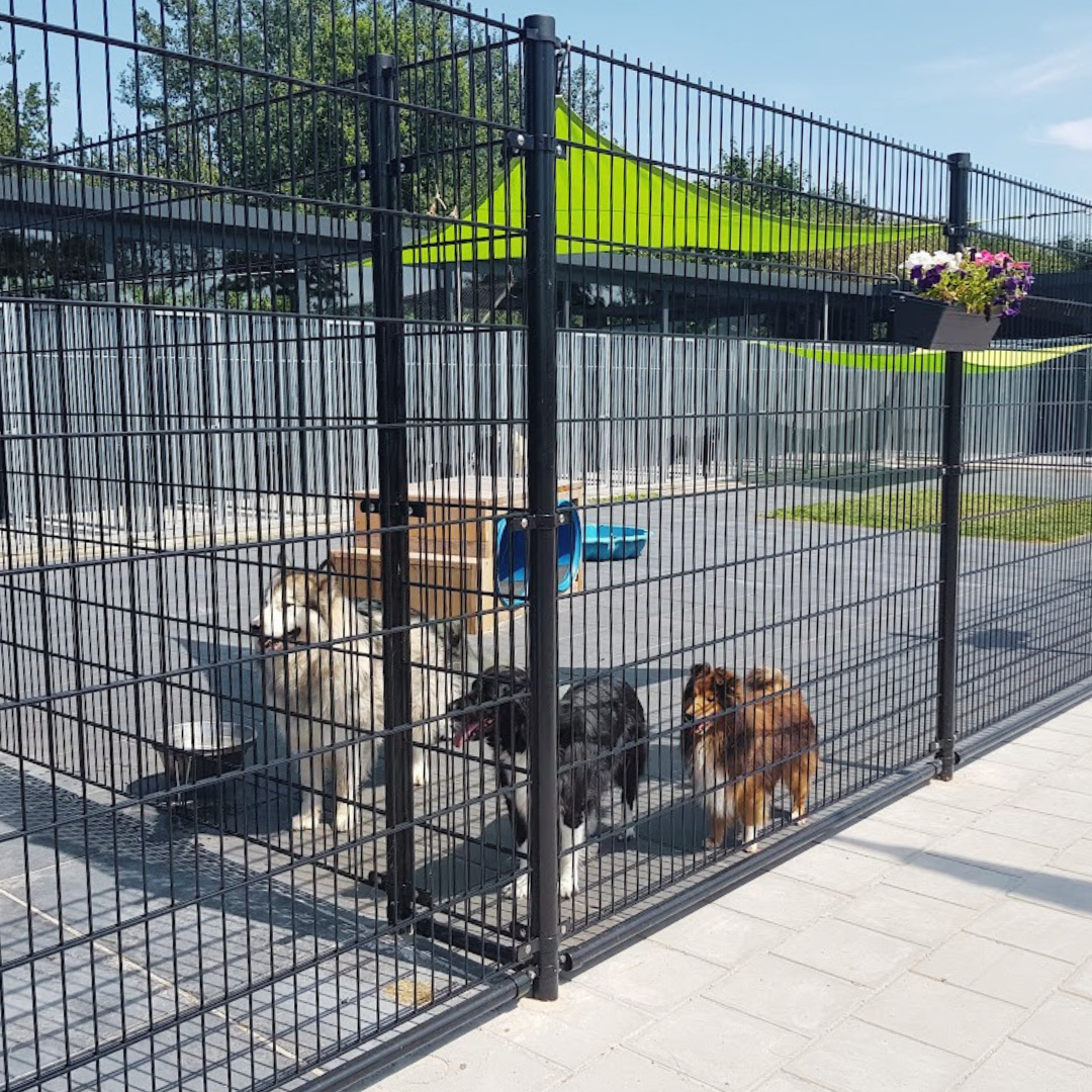 Hekwerk met honden